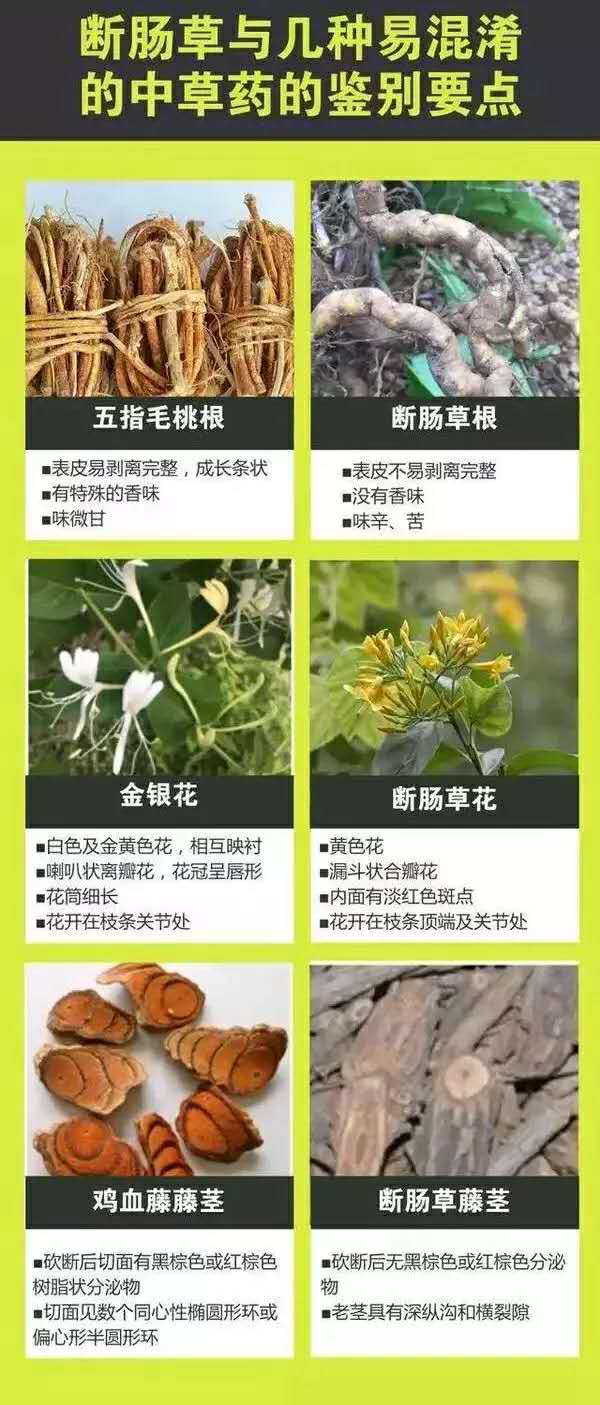 微信圖片_20200214151212.png