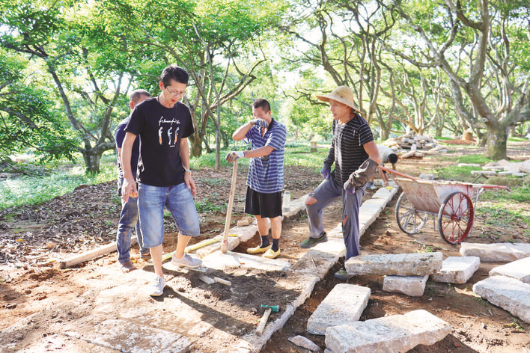     ?高橋村生態古欖園是13個駐柏塘鎮幫鎮扶村實施項目之一。這是工人在古欖園鋪設石板路。