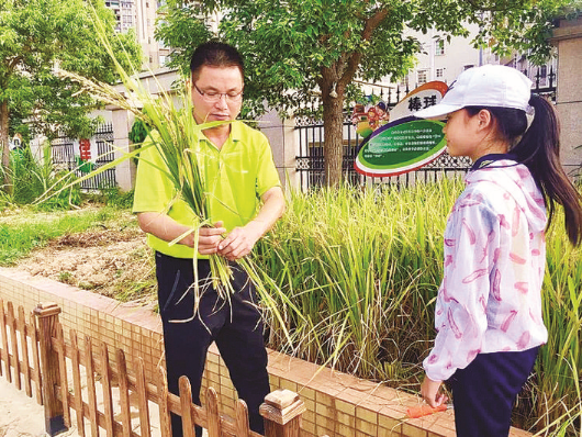     惠城區(qū)部分學(xué)校在校園內(nèi)設(shè)置“勞動(dòng)基地”，培養(yǎng)學(xué)生的動(dòng)手能力。