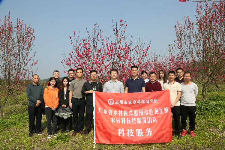 農村科技特派員與駐鎮幫鎮扶村工作隊聯動在農業公園開展科技幫扶（攝影：湯倩）.jpg