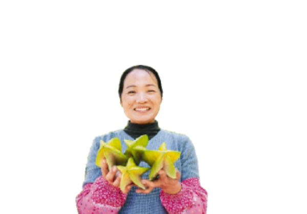 <p> 楊桃種植是麻榨鎮重要產業。</p>