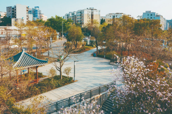     惠州著眼生態文明建設，不斷刷新城市顏值。