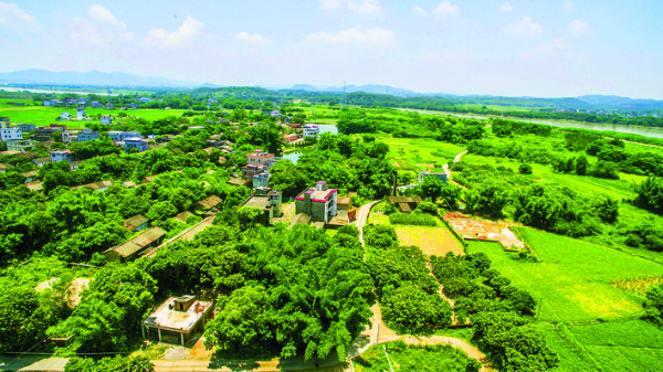     惠城區(qū)全力推動高效利用土地工作質(zhì)量和效能“雙提升”。