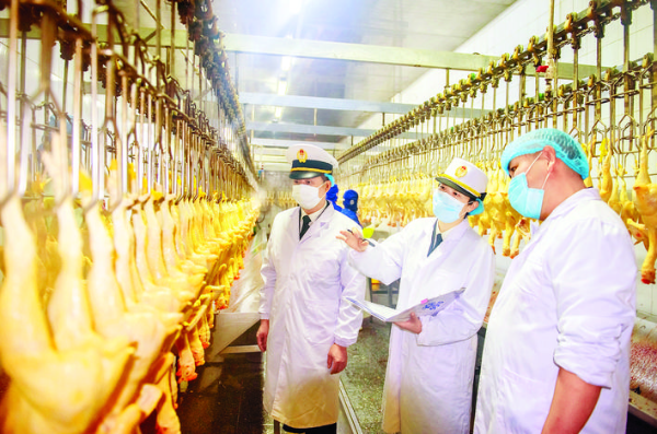     惠州海關關員查驗供港禽類制品生產流程。惠州日報記者劉煒煒 通訊員張仕榮 攝