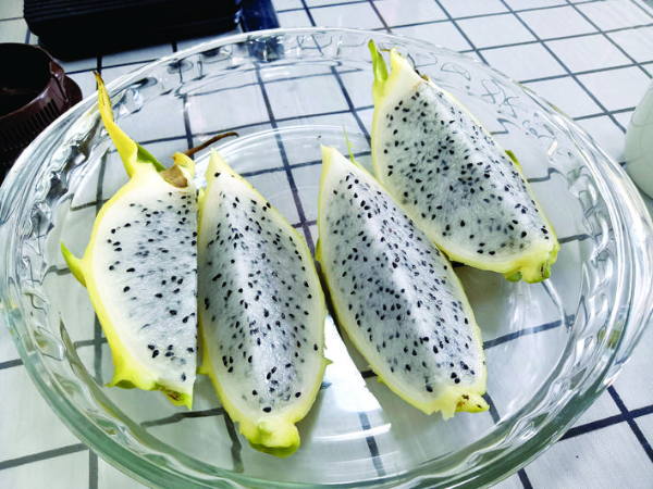     黃皮火龍果。