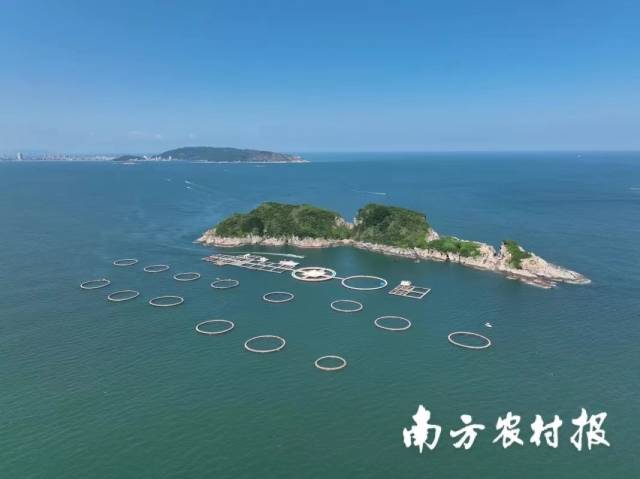 深海網(wǎng)箱養(yǎng)殖 深海網(wǎng)箱養(yǎng)殖