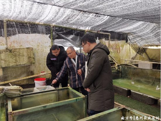 轉(zhuǎn)存圖片