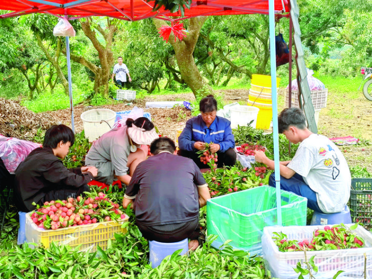 轉(zhuǎn)存圖片