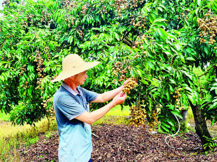 轉(zhuǎn)存圖片