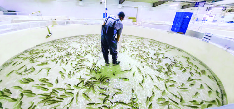 轉(zhuǎn)存圖片