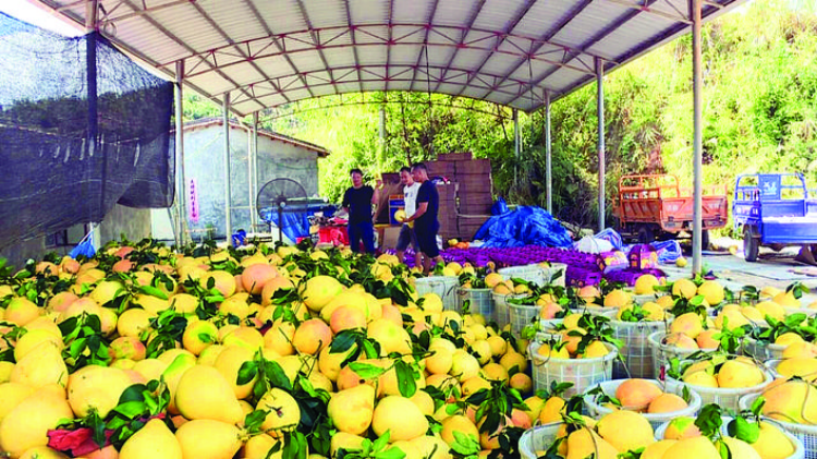 轉(zhuǎn)存圖片