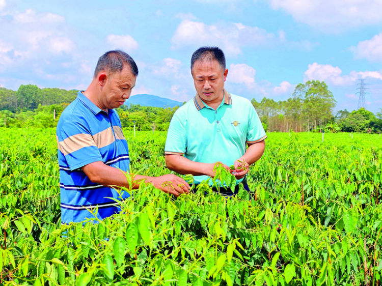 轉(zhuǎn)存圖片